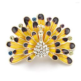 Broches esmaltados de pavo real para mujer, joyería de cristal con diamantes de imitación, animales, Pin de pájaro de alta calidad, regalo DZ059