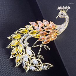 Broches atmosphère européenne et américaine broche oiseau broche Animal femme couleur cristal phénix dîner de mariage vêtements Corsage