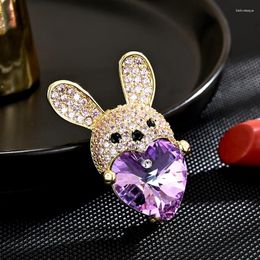 Broches fantastiques violet crisstal autrichien Crystal Heart for Women Design créatif accessoires de costumes animaux mignons épingles de chemise