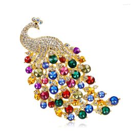 Broches mode grote pauw voor vrouwen kleurrijk kristal dierenontwerp broche pins vrouwelijk bruiloftsfeestje sieraden cadeau