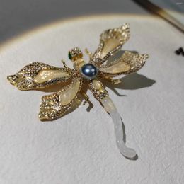 Brooches Fashion Luxury Copper Alliage Perles en verre incrustées Dragonfly Modeling Women's Bijoux