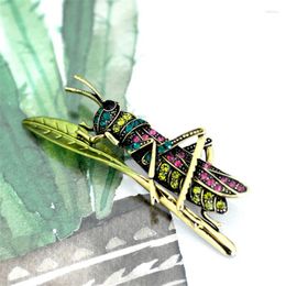 Broches Fashion Spring Series Crystal Grasshopper Enamelo Verde Pin de insecto Broche Gold Color Pins Insignia de mochila Joyería