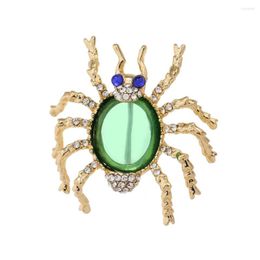 Broches Muylinda araña verde transparente para mujer broche de insecto Animal alfileres regalos de cumpleaños elegantes gota al por menor