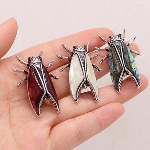Broches Natural Shell Insect for Women and Men Alloy Parage Animal Broche Pins Suits Sweater Dress Hat Scarf