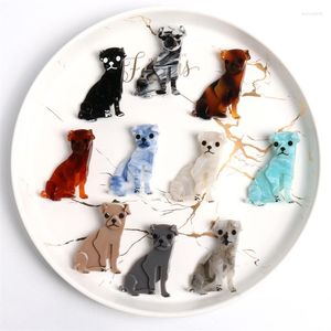 Broches nyn 10 kleur handgemaakte acryl grappige hondenbroche pins het jaar feest verjaardag luxe cadeaus sieraden universiteitszaken tas decoratie