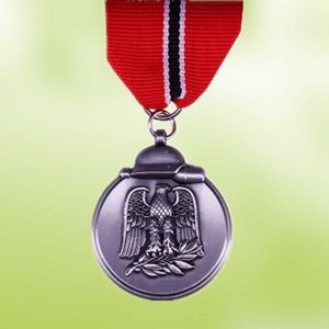 Broches pins Duits De oostelijke medaille Russische front Order of Frozen Meat Duitsland Militaire Award Wehrmacht