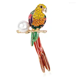 Broches glanzende papegaai voor vrouwen kleurrijke strass vogel parel