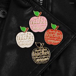 Broches leraar email pin cadeaus idee geweldig als waardering cadeau voor op nationale lerarendag rapel badges sieraden
