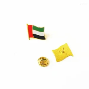 Broches en gros drapeau des Émirats arabes unis, boucle papillon en fer, Badge de peinture, épingle à aiguille, livraison gratuite