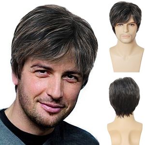 Brown Mens Wig Short Hairstyles Perruque synthétique pour homme Guy Toupees Mix Silver Grey 10 Male Haircuts Costume Party Wigfactory dir