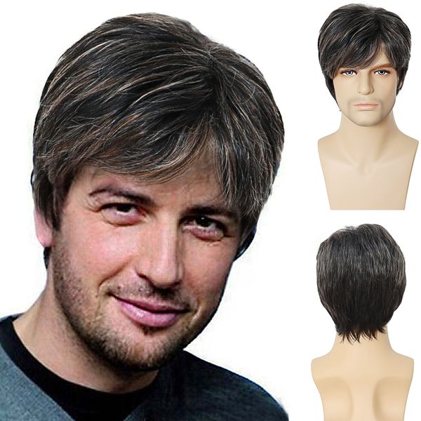 Brown Mens Wig Short Hairstyles Perruque synthétique pour homme Guy Toupees Mix Silver Grey 10 Male Haircuts Costume Party Wigfactory dir
