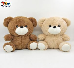 Brown Teddy Bear Plush Toy Triver Triver Bears Toyadores de muñeca de peluche