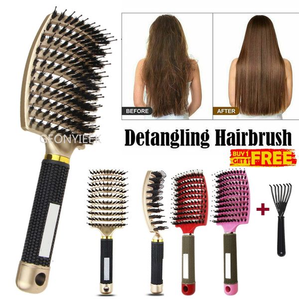 Brosses du cuir chevelu Massage Pig Bristle Nylon Brosse de cheveux humide Curly Déterange des cheveux antistatiques Brosse de coiffure professionnelle Style de coiffure 230921