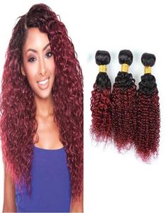 Brzailian Ombre Extension de cheveux deux tons 1B99 crépus bouclés bordeaux tissage de cheveux humains 3 paquets de couleur entière brésilienne rouge Hair7280237