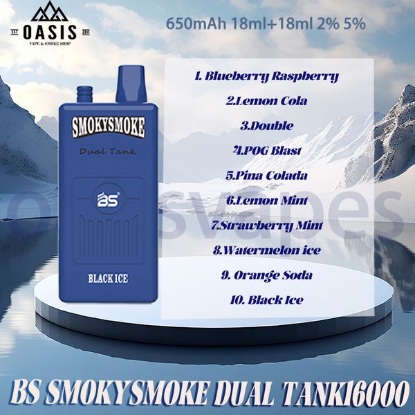 BS SMOKYSMOKE 16000 Puff cigarette électronique jetable double réservoir avec 2 bobines de maille individuelles puissance 650 mAh rechargeable 18 ml + 18 ml 12 saveurs Vapes