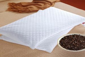 oreiller de sarrasin sperme cassiae oreiller vertebra protébra protéger 100 coton coton coton coteer d'oreiller côté5033272