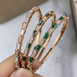 BUIGARI Serpent schaal ontwerper enkele armband voor vrouw kristal Vergulde 18K hoogste teller kwaliteit klassieke stijl mode verjaardag cadeau 035