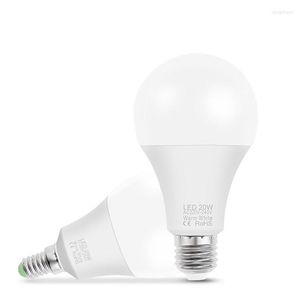 Lamp Light 3W 6W 9W 12W 15W 18W 20W Power Lampada Bombilla Tafelverlichting Woonkamer Home Luminair