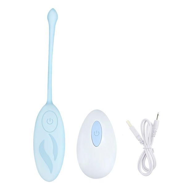 Vibrateur de chatte blanc bleu, œufs vibrants, stimulateur de Clitoris, jouets sexuels pour adultes pour femmes, boule vaginale télécommandée