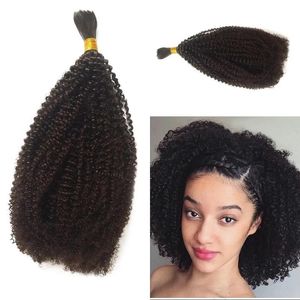 Vrac Afro Crépus Bouclés Vrac Cheveux Humains pour Femmes Noires Indien Humain Tressage Cheveux En Vrac 1 Pièce FDSHINE