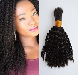 Bulks Indian Human Hair Bulk Kinky Curly No Bevestiging 1026 inch Natuurlijke kleur Bulk Hair voor vlechten FDShine
