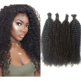 Volumes serrés boucles boucles humaines en vrac 4a 4b cheveux birmanes afro cheveux coqueurs en vrac sans trame pour les femmes noires fdshine