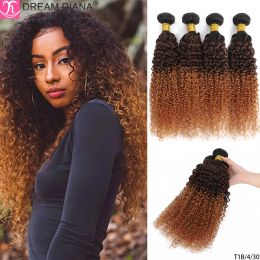 Bundles Bundles Dreamdiana 9A Indian Kinky Curly 4 Bundles Curly Human Hair Bundles Original Human Hair Promotion Cabello para mujeres