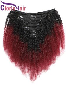 Bordeaux Ombre Afro Kinky Curly Clip In Extensions Maleisisch echt haar geweven Gekleurd 1B 99J Volledig hoofd 8 stks/set 120 g Clip-on extensies2846688