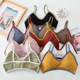 Bustiers korsetten 2021 Kleine Borstband Top Wrapped Frans Meisje Sport Ondergoed Contrast Color Beauty Back Bra Soutien Gorge Bandeau