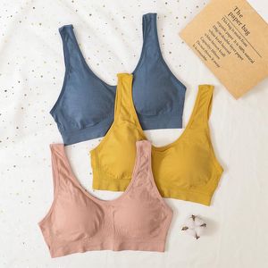 Bustiers Corsets Soutien-Gorge Sans Couture Femmes Tube Top Sous-Vêtements Femme Sportwear Débardeur Sexy Lingerie Bralette Bas Dos Crop Rembourré Bandeau