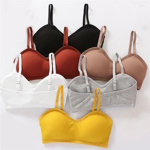 Bustiers corsets sous-vêtements de sport femmes ne rassemblent pas d'anneau en acier Lingerie soutien-gorge bustier tubulaire enveloppé poitrine beauté dos Section mince soutiens-gorge