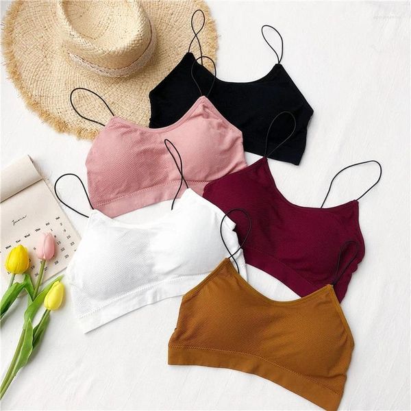 Bustiers Corsets été hauts pour femmes Tube haut court Bandeau Ropa Mujer Verano Camisetas envelopper sans anneau en acier