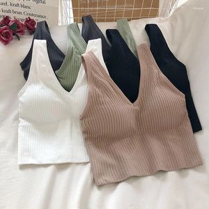 Bustiers Corsets Soutien-gorge sexy pour femme Sous-vêtements V-Tie TopBustiers
