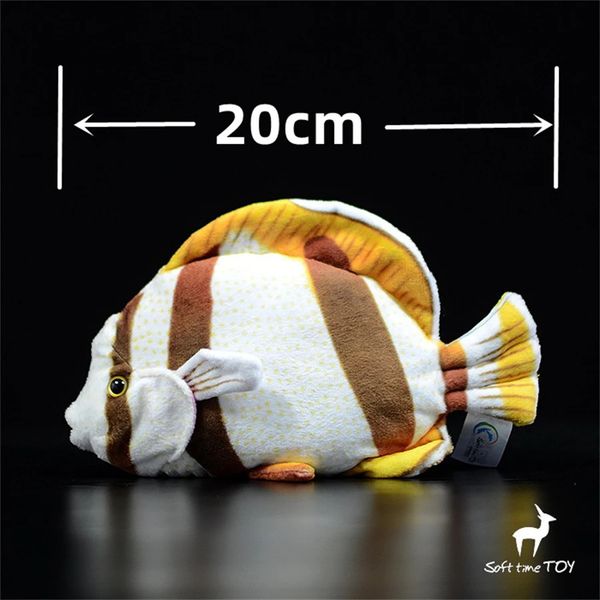 Butterfly Fish Anime mignon en peluche angelfish toys animaux réels simulation de poupée en peluche kawai cadeaux 240325