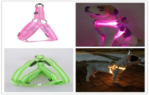 C02 Striped Pet Dog Led Light Harnesses Pet Belt Luminous Hondenharnas voor middelgrote grote honden USB oplaadbaar4370503