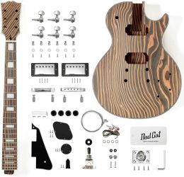 Kabels Nieuwe 6 String Guitar Kit Zebrawood Solid Body LP Style Electric Guitar Builder Kit