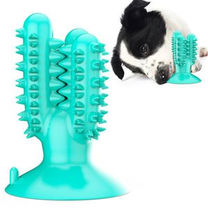 Cactus chien brosse à dents jouet haute qualité en caoutchouc petit chien jouets à mâcher fournitures pour animaux de compagnie dents outils de nettoyage interactif Kong chien jouet carlin