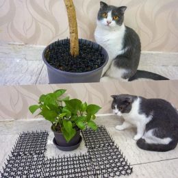 Kooien 12 PCS Garden Cat Scat Mats Anticat Prik Strips Houd de kat weg Veilige plastic tuinbouwbescherming Supli dropshipping