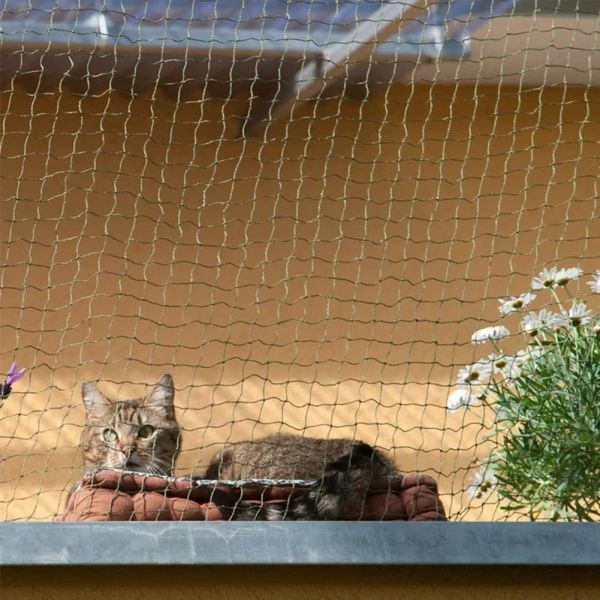 Cages Anti-oiseau Net cerf clôture clôture de jardin et cultures clôture de protection maille anti oiseau cerf pour chat chien poulet filet couverture de fenêtre