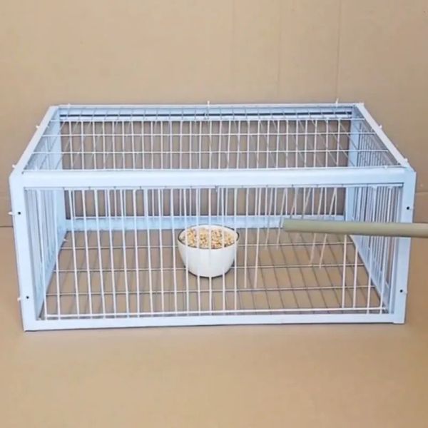 Cages oiseaux cages mi-pliable galvanisé cage cage sauvage humain avec l'entrée unique piégeant S en 230715
