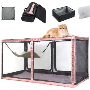 Cages Cat Show Competition Cage Competition Transparent Affichage 3D Affichage avec Cat Hamac Litter Box for Cat Exposition