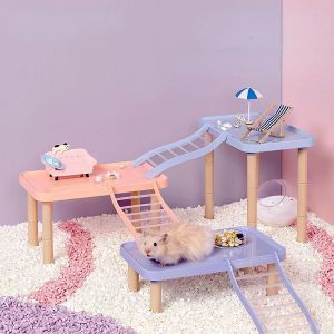 Cages Fonctionnels Hamster House Desk Platform Pet Pet Stand Toy Station de table