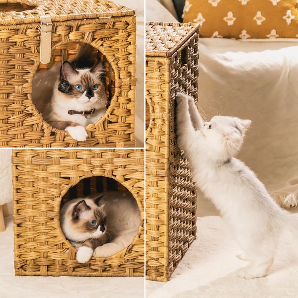 MewooFun – maison de chat en osier, lit pour chat, pour intérieur, en rotin tissé, extérieur, robuste, grands meubles pour chat, avec coussin, Stock américain