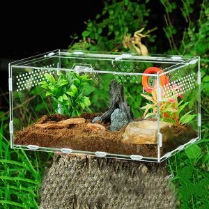 Cages Reptile Boîte de reproduction