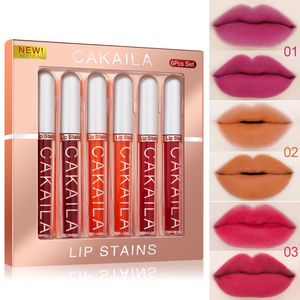 CAKAILA 2.5g X 6pcs Rouge À Lèvres Liquide Mat Longue Durée Brillant À Lèvres Antiadhésif Coupe Lipgloss Kit