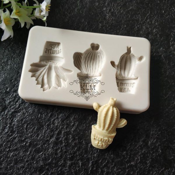 Outils à gâteaux, Pot de fleur de Cactus, moule en Silicone, outil de décoration, pas le même chocolat, ustensiles de cuisine, 3 pièces