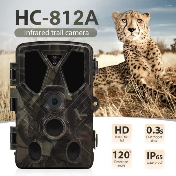 Caméscopes HC812A Caméra de lecture de piste pour animaux de compagnie 30MP IP65 Résolution 1080p Extérieur Étanche Recherche sur les habitudes de vie des animaux sauvages Écran 2,0 pouces