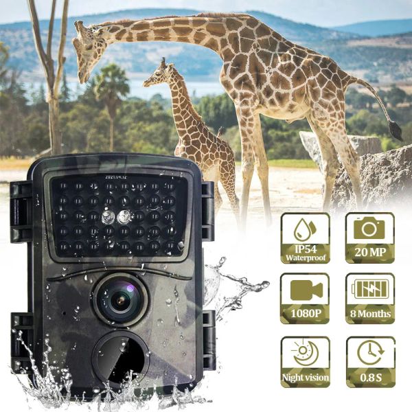 Cameras 20MP 1080p mini caméras de chasse aux caméscopes à la faune exrarouge