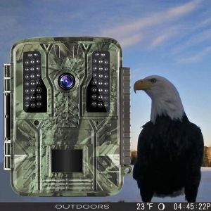 Camera's 32MP Wildlife Hunting Camera 4K HD Outdoor Hunting Trail Camera Infrarood Night Sight Sensor IP67 Waterdicht voor boerderijbewaking