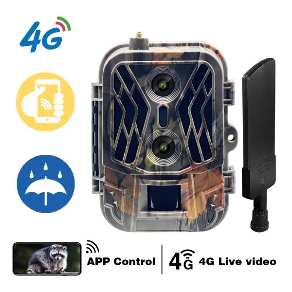 Cámaras 4G HD Show Live Night Vision Trap Cámara Celulare Cellulare Dual Lens Wildlife Hunting Trail Cámara con tarjeta TF 36MP 4K Video